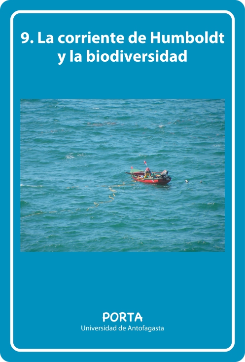 Portada Frontal